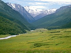 Cattle Flats, Dart River, New Zealand